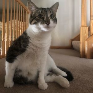 Meet your Posher, Ameer